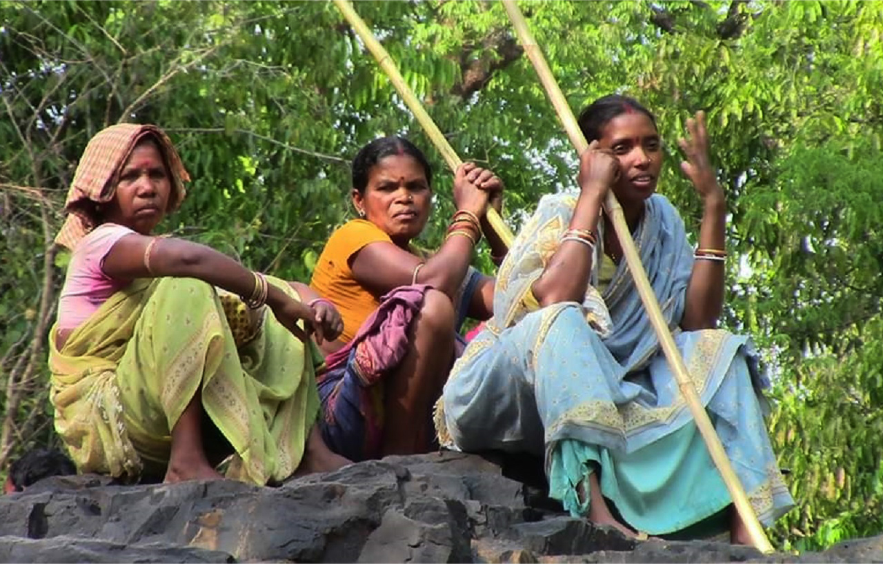 Deep in the Green Embrace: Unveiling the Forest Dwelling Customs of the Pygmy Tribes