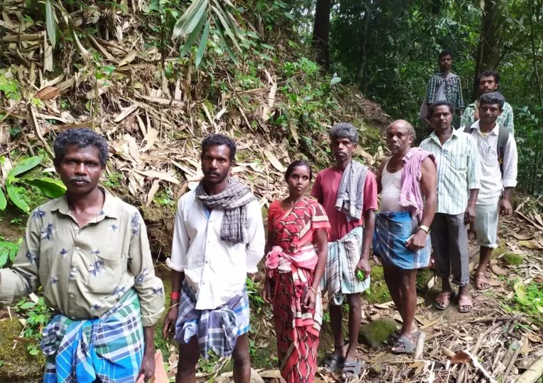 Historical Development of Forest Rights in India