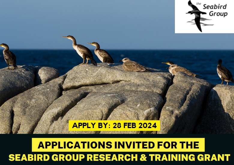 Applications Invited for the Seabird Group Research & Training Grant