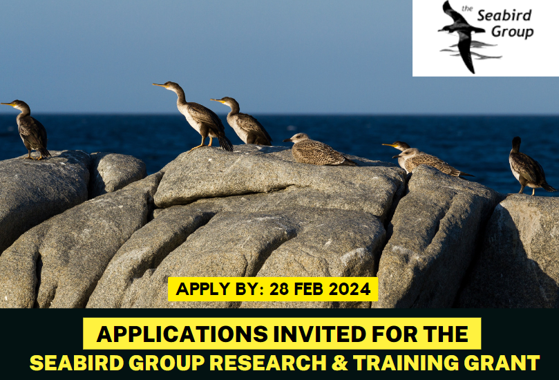 Applications Invited for the Seabird Group Research & Training Grant