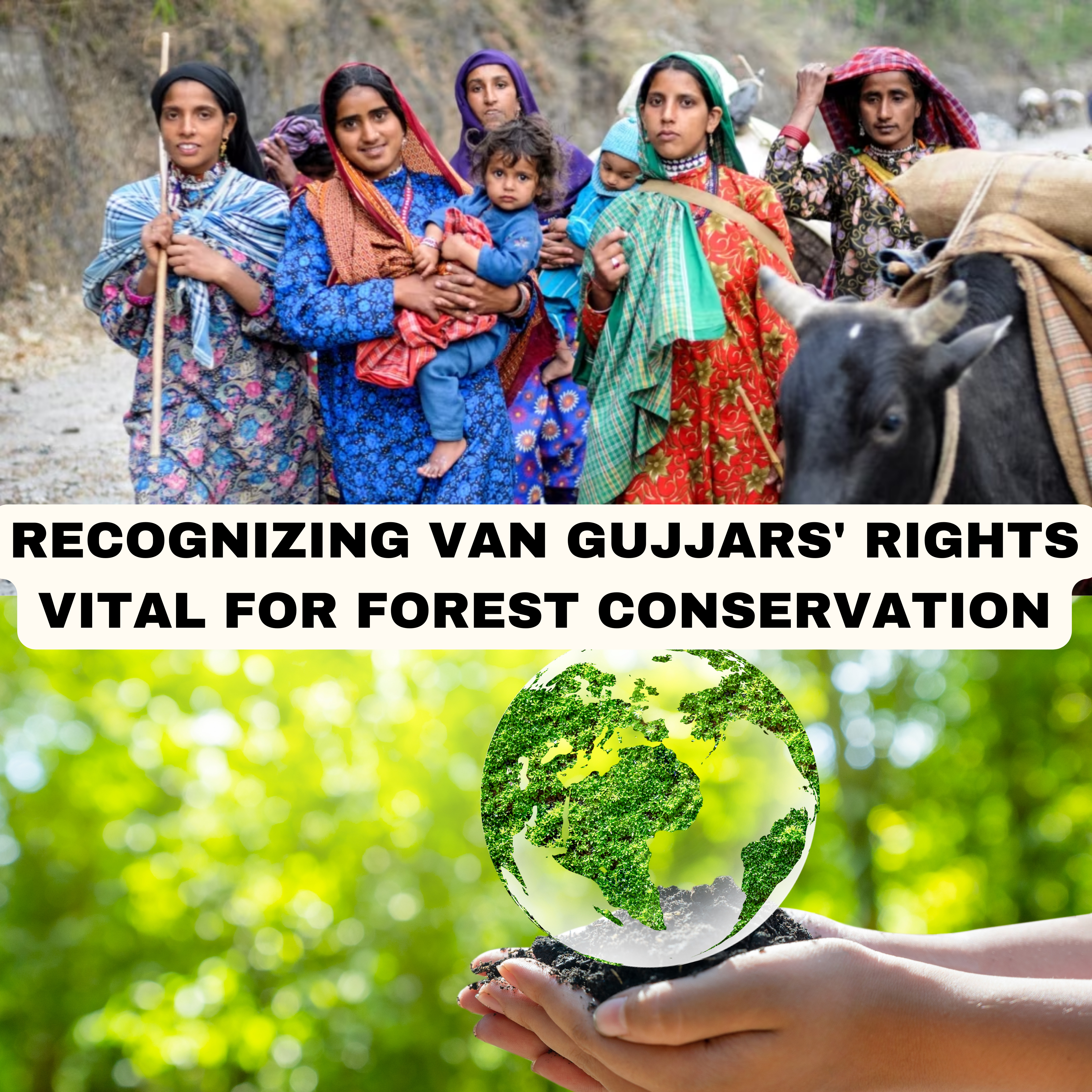 The Crucial Role of Van Gujjars in Forest Conservation and the Need for Recognizing Their Rights